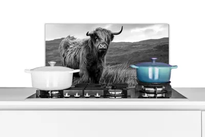 Obrázek produktu pro KitchenYeah® Odstřikovač do kuchyně - Odstřikovač do kuchyně - Ochrana stěny sporáku a dřezu - Skotský náhorní skot - Hora - Voda - Příroda - Kráva 70x30 - Hliníkový dibond (alternativa ke skleněnému odstřikovači) -