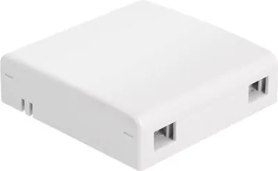Produktbild von DeLOCK LWL Anschlussdose zur Wandmontage für 2 x SC Simplex oder LC Duplex weiß, Weiß, Acrylnitril-Butadien-Styrol (ABS), 86 mm, 86 mm, 24 mm