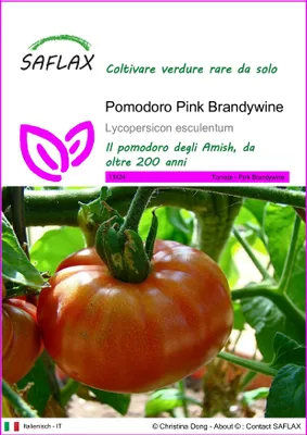 Immagine prodotto di SAFLAX  - Pomodoro Pink Brandywine - 10 semi - Lycopersicon