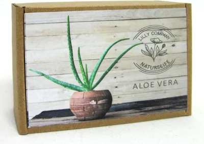 Produktbild von Feste Naturseife Aloe Vera handgemacht im Geschenkkarton 100g