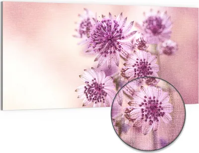 Produktbild von DEQORI Hybrid Leinwand Bild 100x50 cm 'Lila Sterndolden' Wandbild Glas flach modern