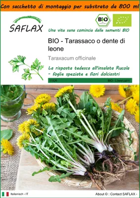 Immagine prodotto di SAFLAX Garden in the bag -- Tarassaco o dente di leone - 400 semi - Taraxacum