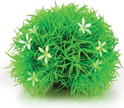 Obrázek produktu pro biOrb Topiary ball with daisies