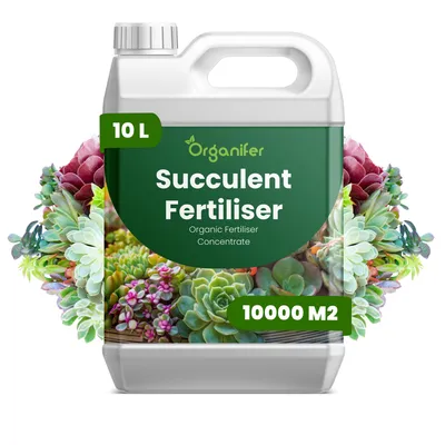 Obrázek produktu pro Tekuté Hnojivo pro Sukulenty 10 L – 2-1-8 NPK – Pro Sukulenty – Pro Vitálny Růst, Posilnenie Kořenů & Vysokú Odolnosť – Organifer