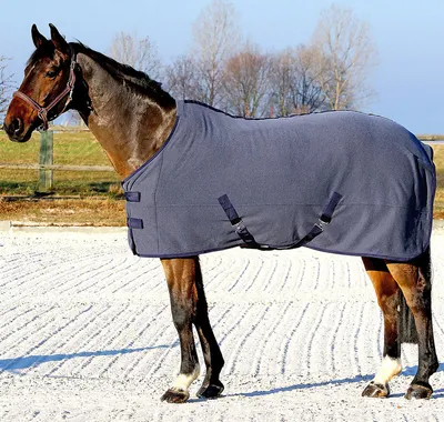 Produktbild von Euroriding Abschwitzdecke Cosy