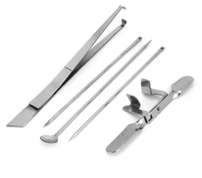 5-tlg. Kapaun-Messer-Set Edelstahl Geflügelkastration