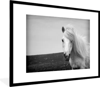 Produktbild von MuchoWow® Gerahmtes Poster Porträt Pferd in schwarz und weiß 80x60 cm - Poster mit Schwarzem Bilderrahmen Wandposter Rahmen Foto Bilder - Schlafzimmer-Dekorationen - Fotoposter