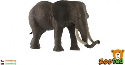 Produktbild von Afrikanischer Zootelefant