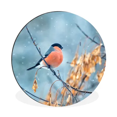 Produktbild von MuchoWow® Aluminium Wandkreis Schnee - Vogel - Tier Ø 60 cm Wanddeko Modern Wohnzimmer - Wand Kreis - Wandbild - Schlafzimmer - Aluminium Bild - Kinderzimmer - Wohnzimmer Dekoration - Wandschmuck