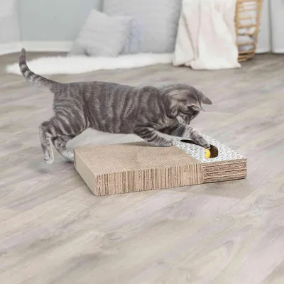 Obrázek produktu pro Trixie Škrabací karton s hračkou 38 x 30 cm bílý