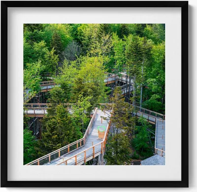 Produktbild von Ein Weg in Krynica Zdrój– Wandbild mit Rahmen – Gerahmtes Bild  – Wanddekoration – 50x50 cm –  Schwarz Rahmen