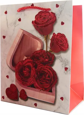 Zdjęcie produktu dla Torba Prezentowa Walentynki 18X23Cm Różne Kolory