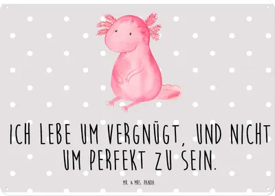 Produktbild von Mr. & Mrs. Panda tafel Axolotl Niedlich DIN A4 - Grau Pastell - Geschenk, Blechschild, Türschild, Liebe, Lebensweisheit, Schild, Wandbild, Nostalgieschild, Fröhlich