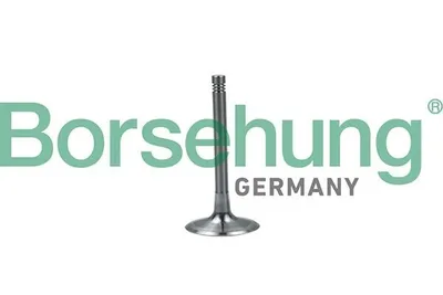 Produktbild von Borsehung B19028 Einlassventil für AUDI A4 Avant (8K5, B8)
