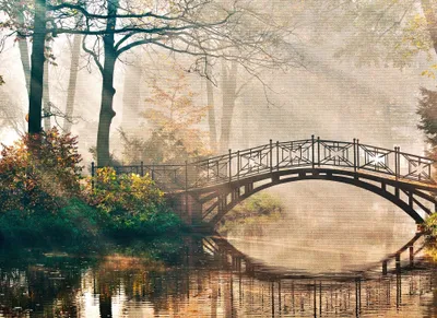 Produktbild von Park Fototapete mit Brücke | Vintage Tapete mit Wald Motiv und Sonnenstrahlen für Wohnzimmer und Esszimmer | Märchenwald