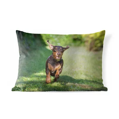 Produktbild von MuchoWow® Outdoor Kissen - Ein sprintender Dackel - 60x40 cm - Wetterfest - Lounge Kissen - Zierkissen - Kissen für Innenräume