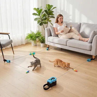 Produktbild von Elektrisches Mausspielzeug, Automatisches Katzenspielzeug ferngesteuert, ABS Schwarz  |  für Katzen  |  einstellbare Geschwindigkeit  |  14,8 x 11,7 x 10 cm