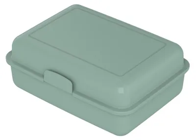 Produktbild von Lunchbox "School-Box" groß - Nachhaltige Brotzeitbox aus Zuckerrohr - Brotdose ideal für Kinder und Erwachsene - minze