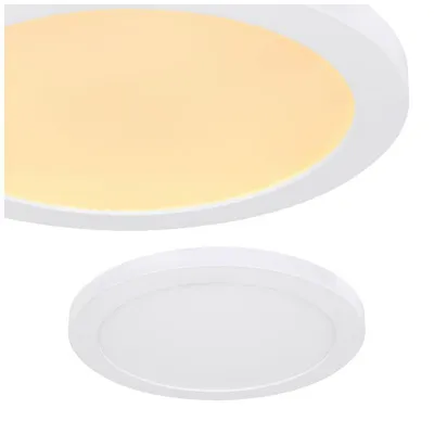 Zdjęcie produktu dla GLOBO 12379-24W, LED, 2200 lm, IP20
