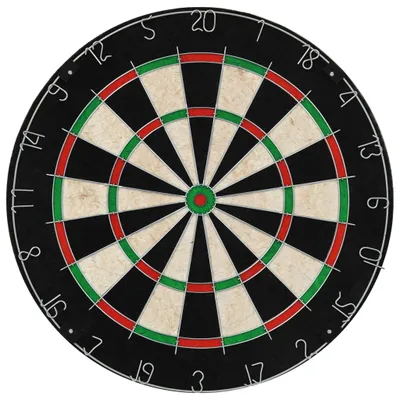 A professional shot of a dartboard.