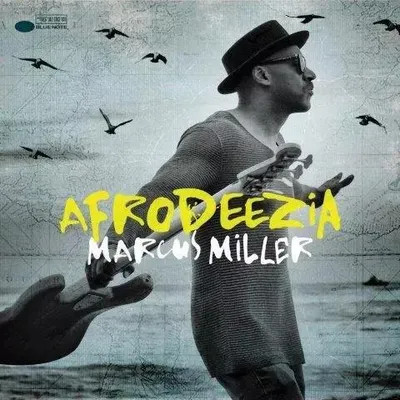 Zdjęcie produktu dla Afrodeezia. CD