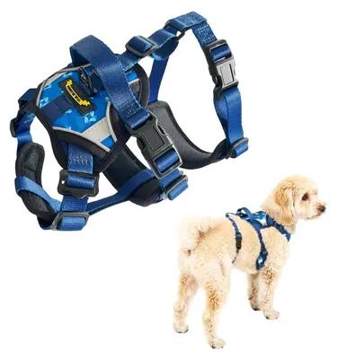 Immagine prodotto di Solidchoice - Guinzaglio antisfogo, regolabile e traspirante, ideale per tutti i cani
