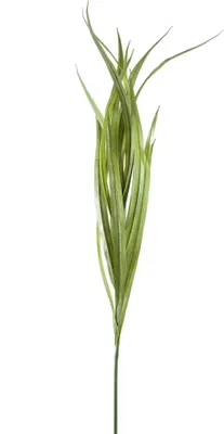 Produktbild von PTMD – Künstliche Blätter – Grün – 90 x 69 x 120 cm