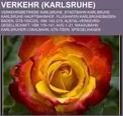 Produktbild von Verkehr (Karlsruhe)