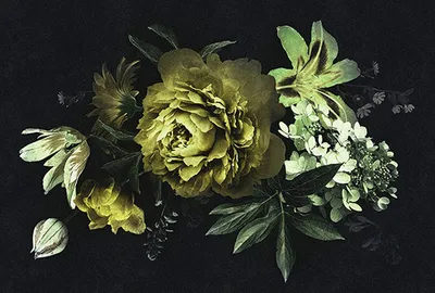 Produktbild von Tadessi Fototapete | Blumen | 4.00 m x 2.70 m | Gelb | Schwarz | Wandbild | Digitaldruck