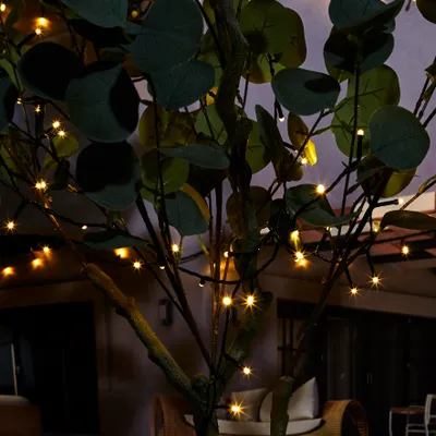 Image de Guirlande 200 Leds A Prise