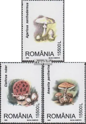 Produktbild von Briefmarken Rumänien 2003 Mi 5754-5756 (kompl.Ausg.) postfrisch Pilze
