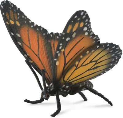 Image de COLLECTA Monarch monarch