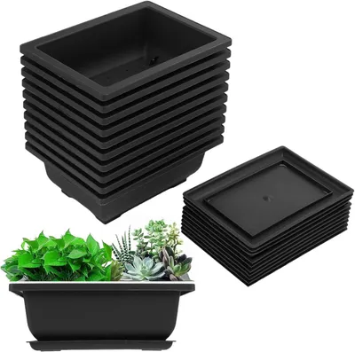 Zdjęcie produktu dla Zestaw 10 doniczek do uprawy bonsai z plastikową podstawką