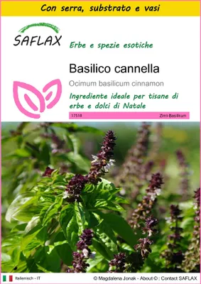 Immagine prodotto di SAFLAX Insieme di coltivazione - Basilico cannella - 200 semi - Ocimum
