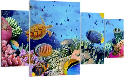 Produktbild von Bild auf Leinwand - Leinwandbild - Korallenriff - 160x90cm - Wand Bild - Wanddeko - Wandbilder - Leinwanddruck - Bilder - Kunstdruck - Wanddekoration - Leinwand bilder - Wandkunst - DL160x90-3569