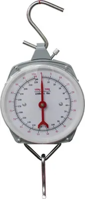 Produktbild von Professionelle 200-kg-Hängewaage, Kranwaage, Ladewaage, Industriewaage