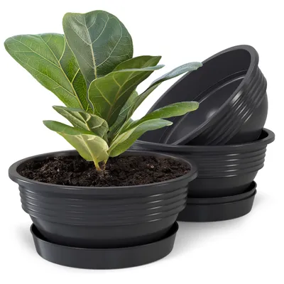 Produktbild von Plastard 3er Set Pflanzenschalen Ø 52 cm mit Untersetzer rund – Anthrazit