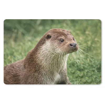 Produktbild von MuchoWow® Mauspad Mousepad Otter im Gras 27x18 cm - Mousepads - Maus Mat - Pad - Mausunterlage - Büroartikel - Desk Matten