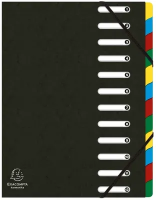Immagine prodotto di Organizer A4 12 scomparti in cartone nero confezione da 6