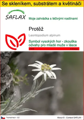 Obrázek produktu pro SAFLAX Kultivační sada - Protěž - Leontopodium alpinum - 500 Semena - S mini skleníkem, pěstebním substrátem a 2 květináči