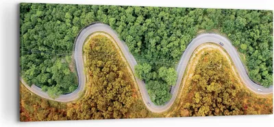 Produktbild von Bild auf Leinwand - Leinwandbild - Einteilig - Luftaufnahmen Weg Wald - 120x50cm - Wand Bild - Wanddeko - Wandbilder - Leinwanddruck - Bilder - Wanddekoration - Leinwand bilder - AB120x50-4659