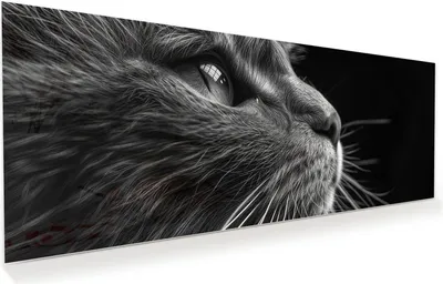 Produktbild von Glasbild 125x50cm in XXL für Wohnzimmer, Schlafzimmer Motiv Nahaufnahme Katze