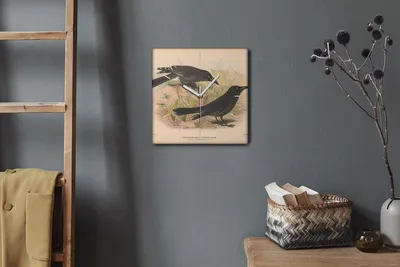 Produktbild von Coloray Hodiny Unikátní 30x30 cm Tiché hodiny Pro obývací pokoj a kuchyň Nástěnné hodiny Plátno Bílé ručičky hodin - Ptáci zvířata kreslí