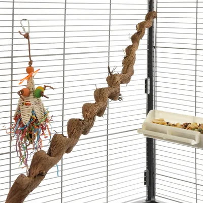 Immagine prodotto di Natural Liana - Giocattolo o posatoio per pappagalli di grandi dimensioni, diametro da 4 a 6 cm, lunghezza 100-120 cm
