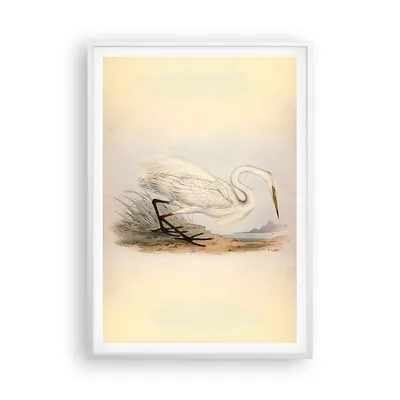 Produktbild von Gerahmtes Poster - Weißer Rahmen - Vogel Weiß Reiher - 70x100 cm - Wand Bild - Wanddeko - Wandbilder - Kunstposter - Wandposter - Bilderrahmen - Bilder - Kunstdruck - Wanddekoration - P2WPA70x100-4979