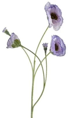 Productafbeelding van Viridis Kwiat: Kunstbloem, takken van een veldmaak, 67 cm