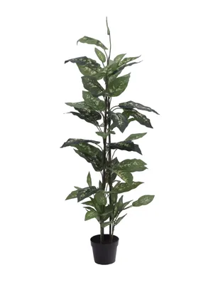 Immagine prodotto di EUROPALMS Dieffenbachia, artificiale, 120 cm (82508306)