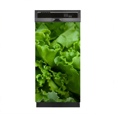 Produktbild von Magnete Dekorative 45x80 cm Küche Magnetmatte Spülmaschine - Kopfsalat grün Salat