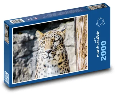 Zdjęcie produktu dla Puzzle 2000 Lampart na wolności - martinpuzzle