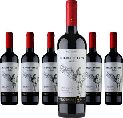 Produktbild von 6 x Andica Gran Reserva Carmenere